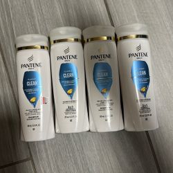 Shampoo Pantene $15