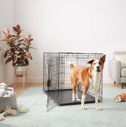 Basics Durable, Foldable Metal Wire Dog Crate with Removable Tray, Single Door, Divider Panel