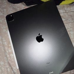 iPad Pro 12.9in 256gb 5th Generation 