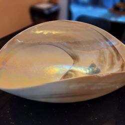 Yalos Murano Fossili Bowl