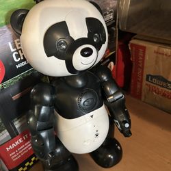 Panda Robot Kids Love It 