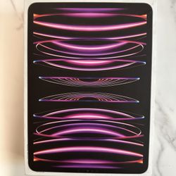 iPad Pro 11-inch 4th Gen 256gb Space Gray