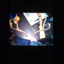 8 Point Mule Deer Antlers 