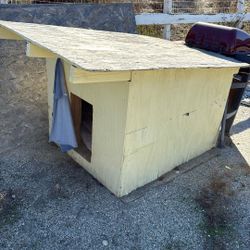 Dog House