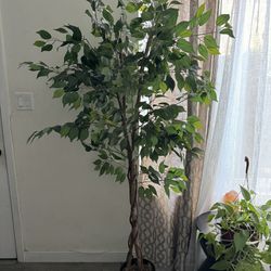 Fake Tree / Plant