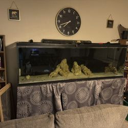 6’ Fish Tank Aquarium Reef Or Use For Fresh 