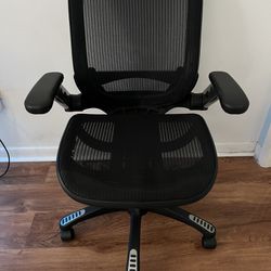 Ergonomic Office chair