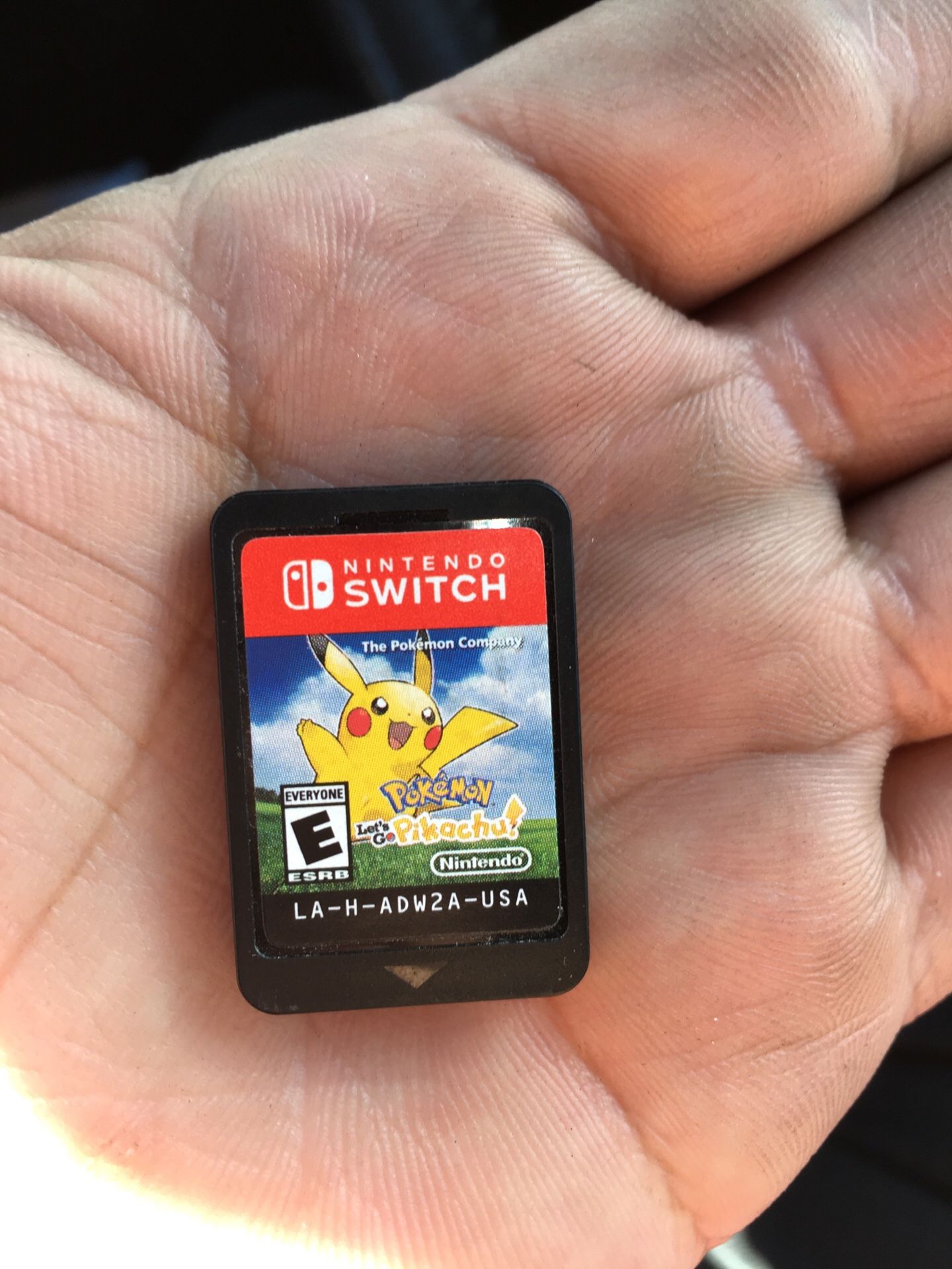 Nintendo switch Pokémon
