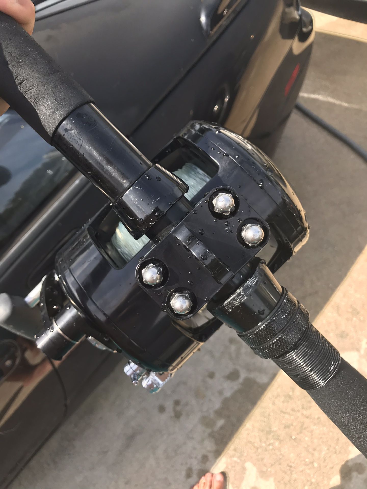 Avet trx 80w