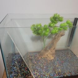 Fish Tank 