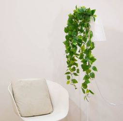 hanging plant shelves Tiered Shelf Plant Hanger main image 1