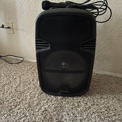 Speaker with microphone