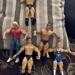 Wwe Figures