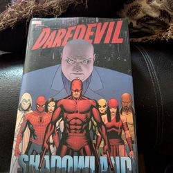Daredevil Shadow Land Omnibus