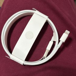 iPhone Charger Without The Box