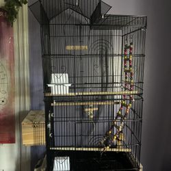 Large bird cage 