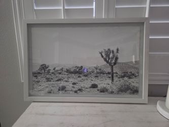 Desert Framed Art