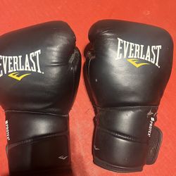 Everlast boxing gloves