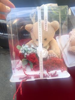 Bear