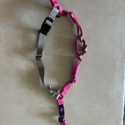 Easy walk Harness
