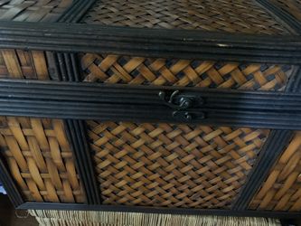 Medium Trunk