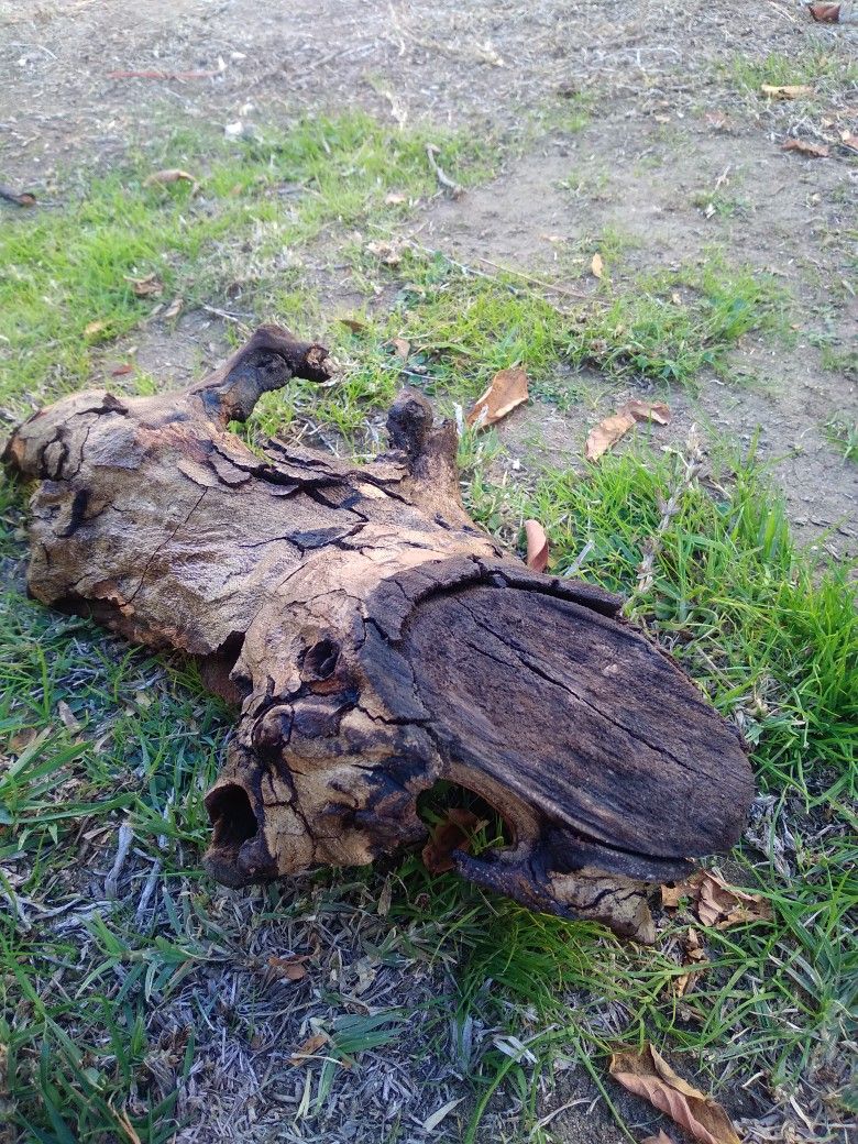 Natural Local Driftwood