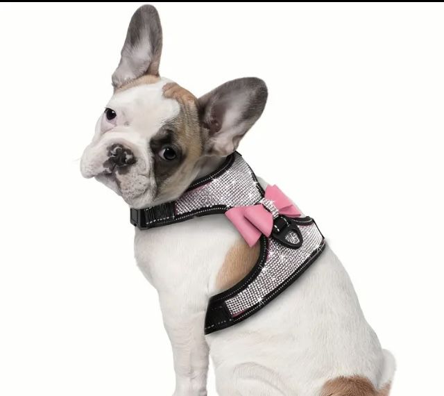 Cute Dog Collar Harness 