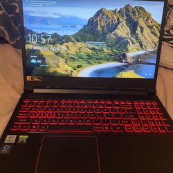 Acer Nitro 5 AN515-55