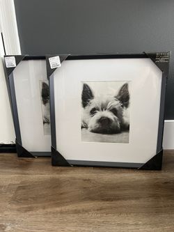 Picture Frames