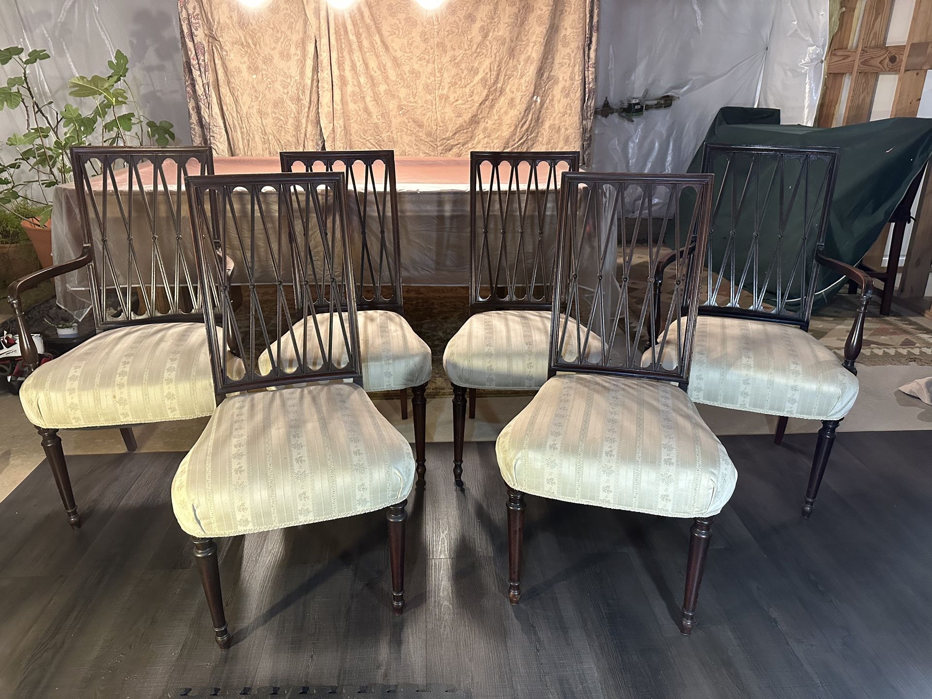 Antique Dining Chairs - Mahogany 