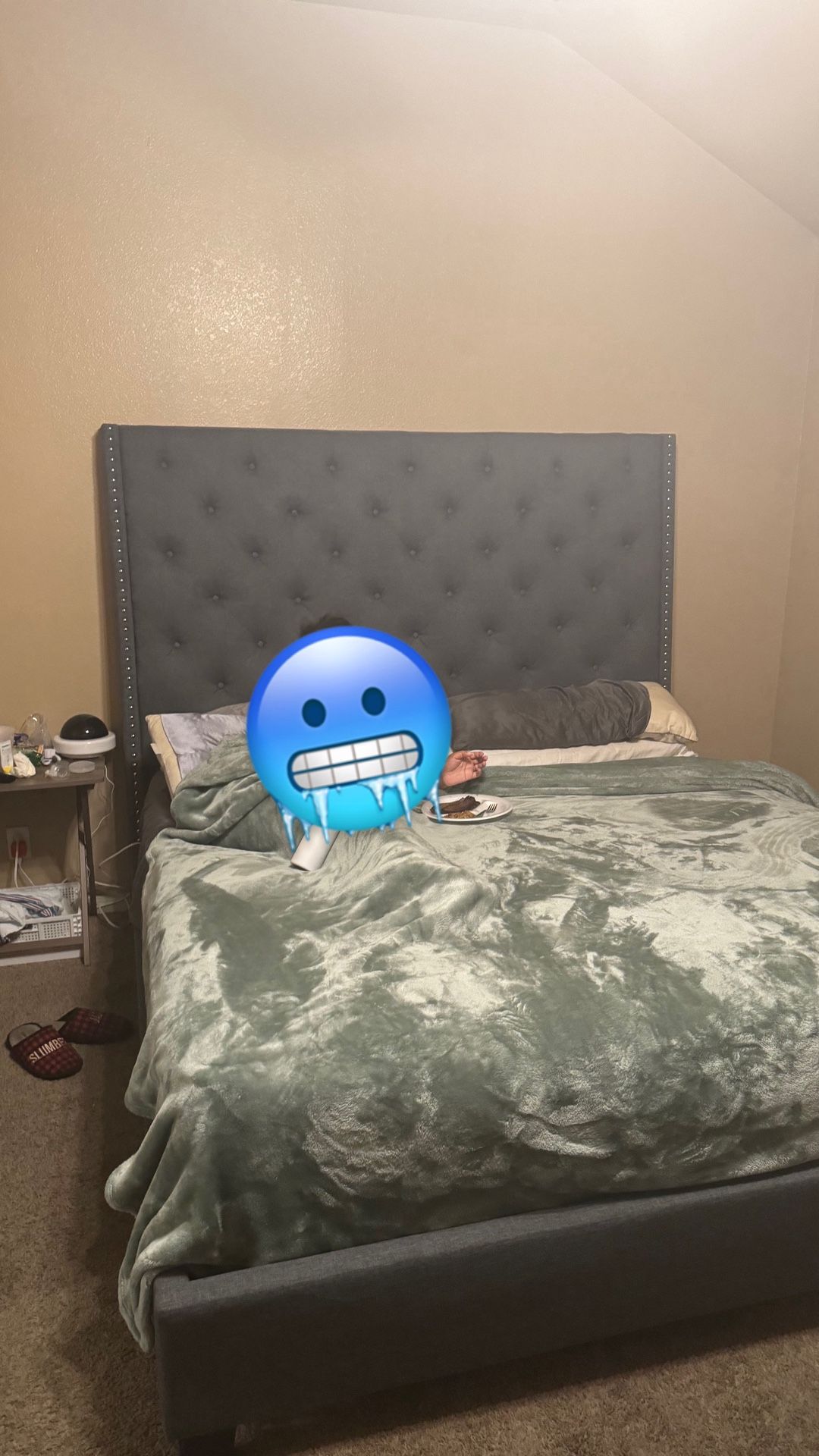 King Size Bed And Mattress And Box Springs