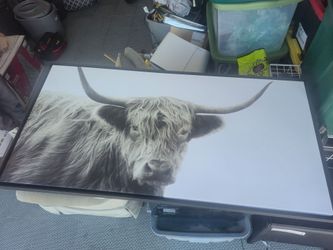 Cow picture $25