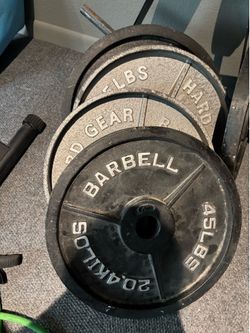 45 & 35 Pound Barbell Weights