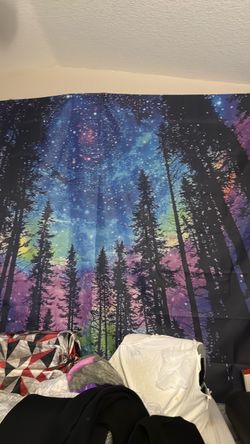 Nighttime woods wall size material photo