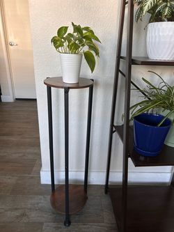 Plant Holder 30 inch”