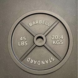 Rare DOUBLE SIDED Barbell Standard Olympic 45 Pound Weight Plates