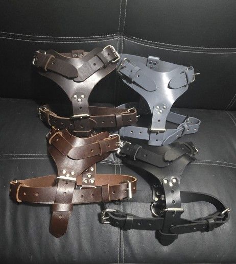 Dog Harness