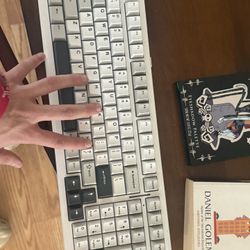 Mechanical Keybord Aula