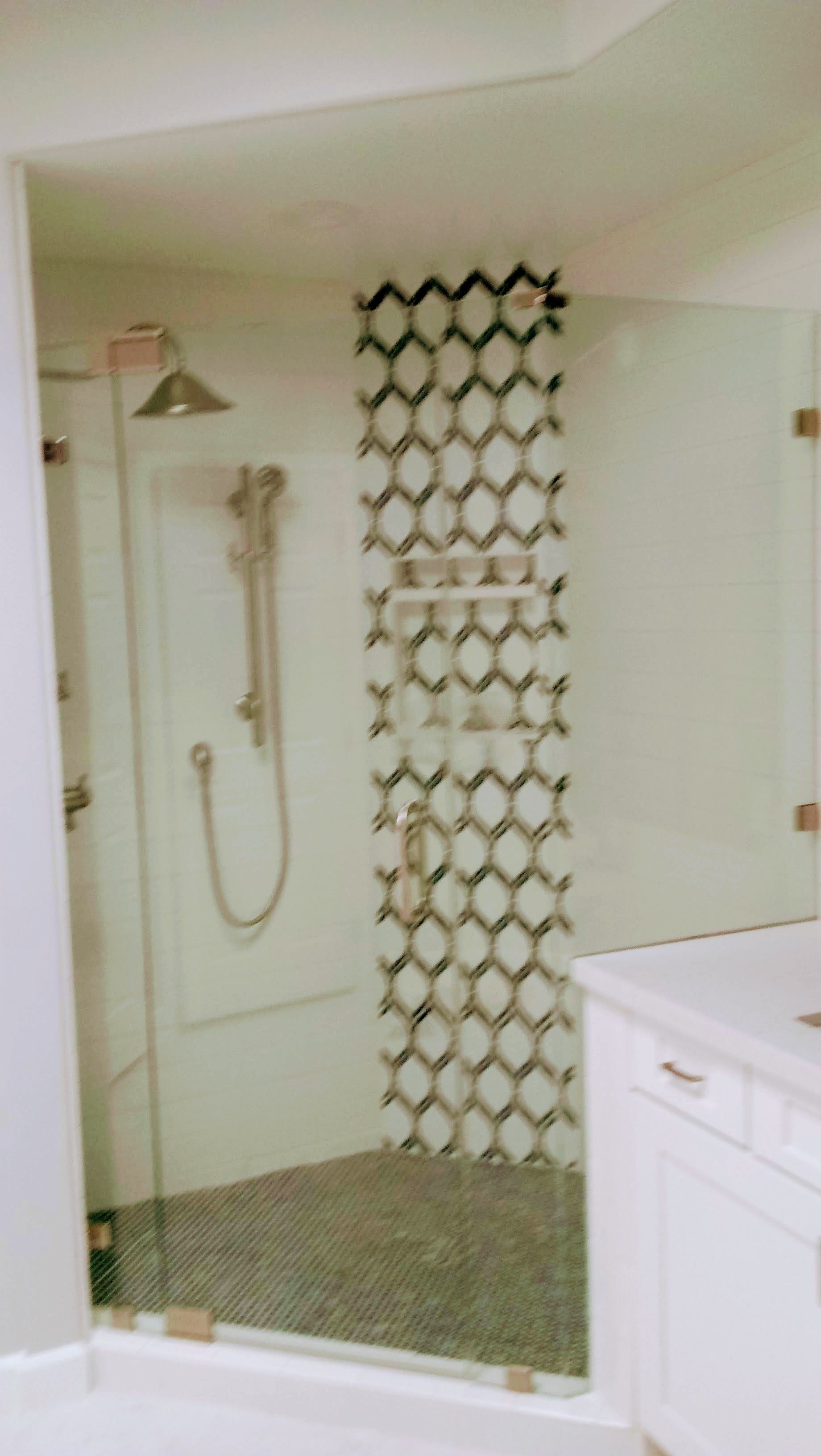 Shower Door