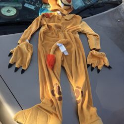 Like new high-quality kids Disney lion only $15 firm