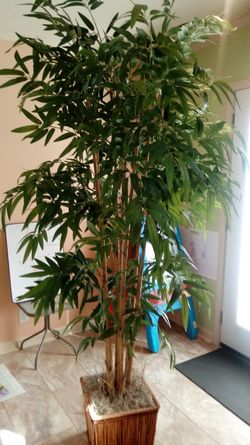 Decoration