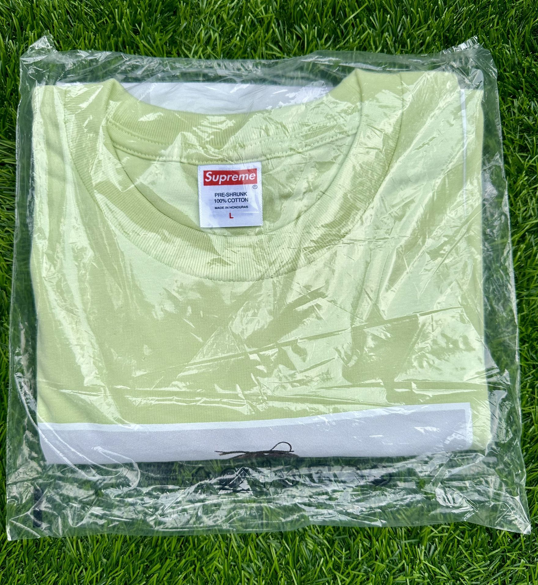 Supreme x Tyler The Creator Tee Pale Mint FW24 Size  L and XL Available 