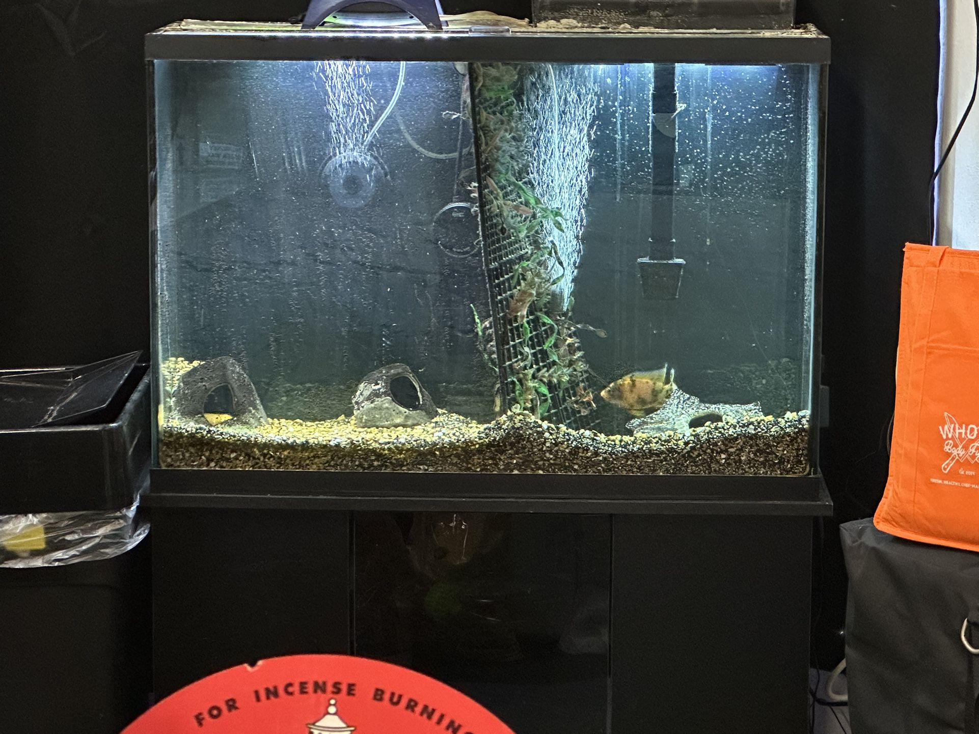 45 Gallon Marineland Fish Tank, Fish Tank Stand, Filter, Gravel