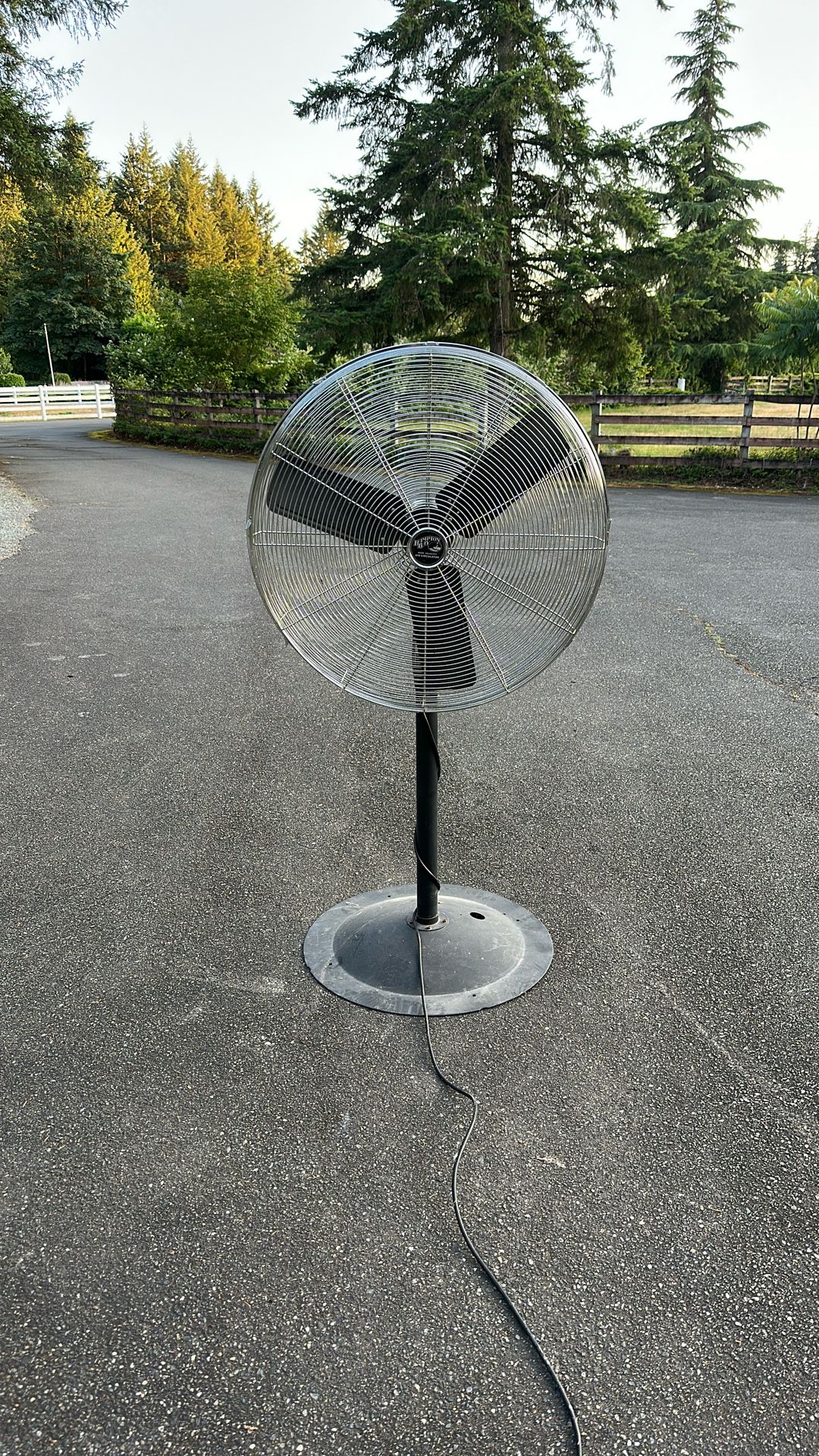 Fan - Large Pedestal