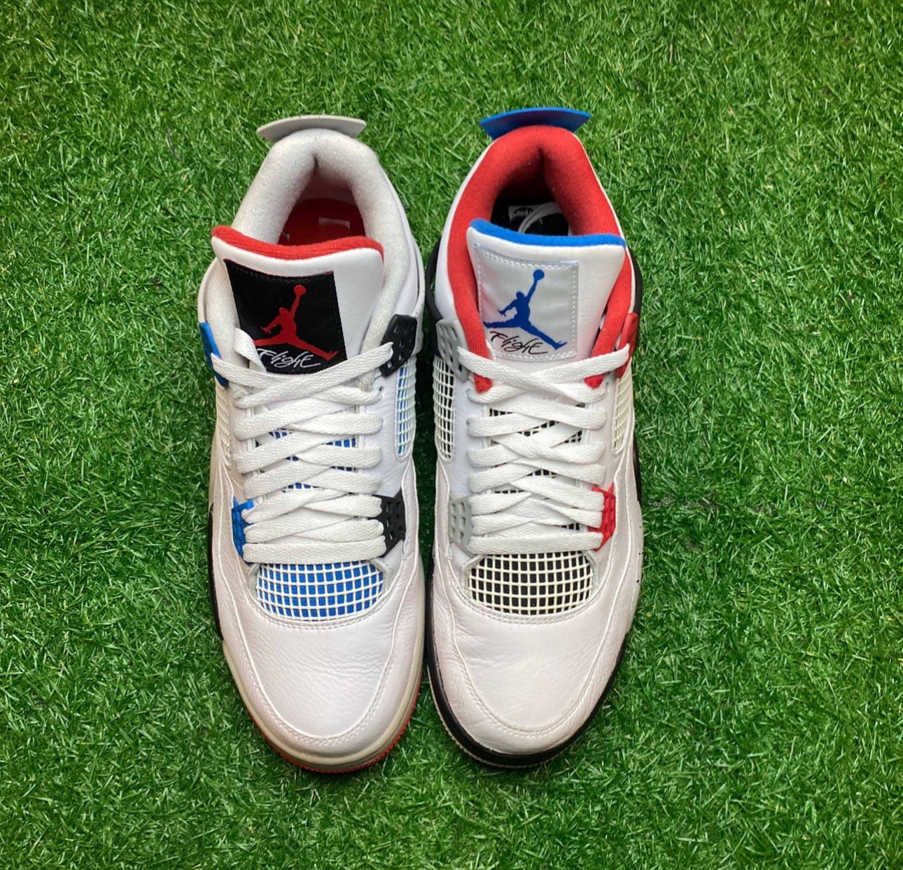 Air Jordan 4s What The