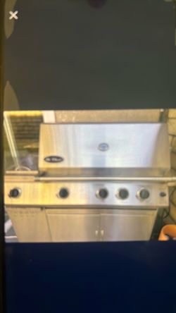 Stainless Steel Gas Grill