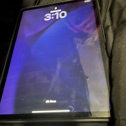 Apple iPad Pro 4th Generation 