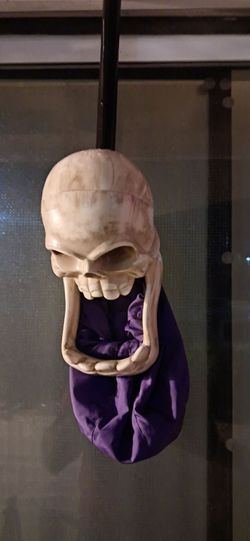 Hanging Skeleton Skull Halloween Decoration