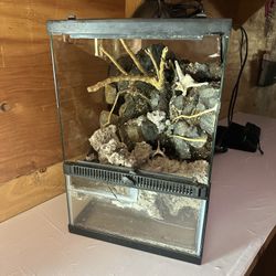 Reptile Enclosure 