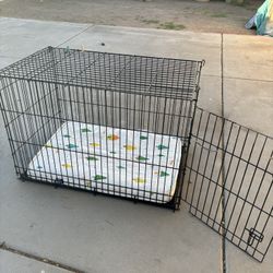 Dog Kennel 